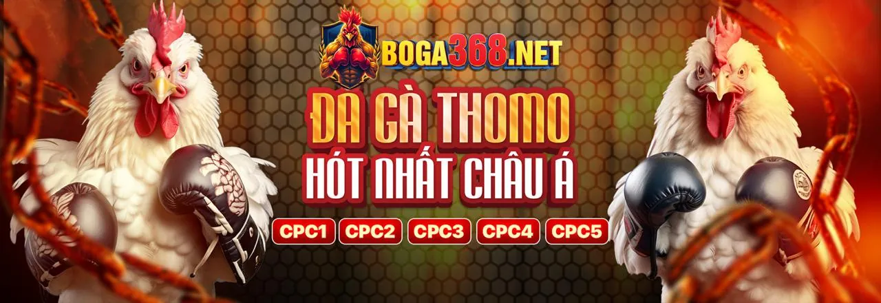Ứng dụng 456win trên điện thoại