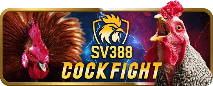 Chính sách đồng thuận minh bạch của 456win link vào