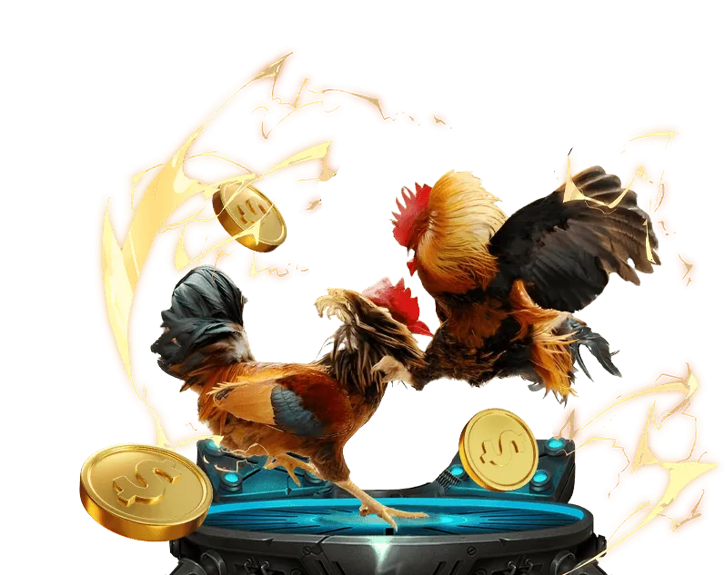 Chính sách Cookie 456win link vào